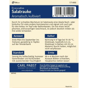 Pabst Keimkraft Salatrauke Saatgut: Aromatische, kultivierte Salatrauke für Garten, Balkon und Fensterbank.