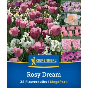 Kiepenkerl Blumenzwiebeln Rosy Dream Mega Pack mit rosa Tulpen, Narzissen, Krokussen und Hyazinthen.