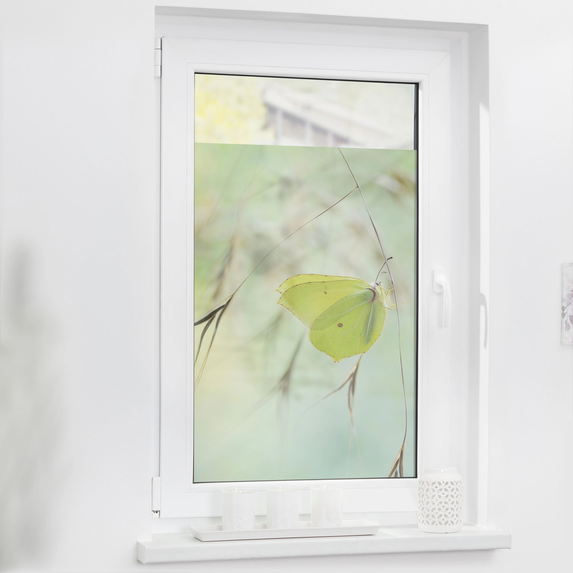 Lichtblick Fensterfolie selbstklebend mit Sichtschutz Schmetterling