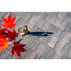 Diephaus Terrassenplatte Ruda Terra in Holzoptik, 60x30x4 cm, mit Holzstruktur und leichter Farbgebung.