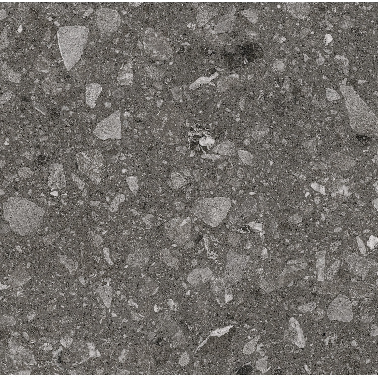 Feinsteinzeug Bodenfliese in Anthrazit, 60x60 cm, matte Steinoptik für Innen- und Außenbereich.