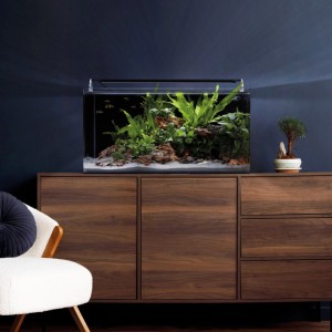 Dennerle Nano Aquarium 60l mit Pflanzen und Fischen auf einem Holzschrank.