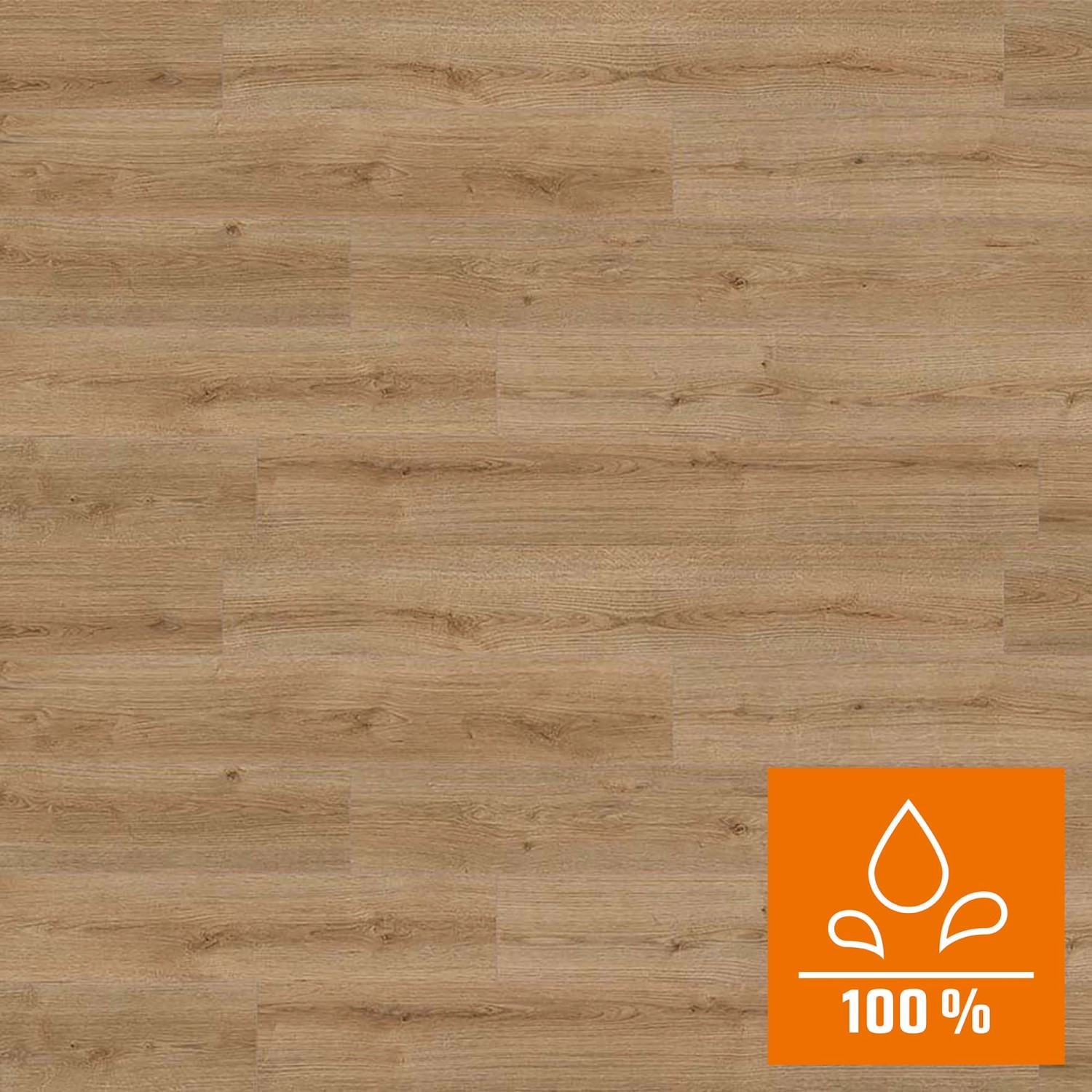 Kaindl Laminatboden Masterfloor Aqualine Eiche Evoke Trend 8 mm günstig online kaufen