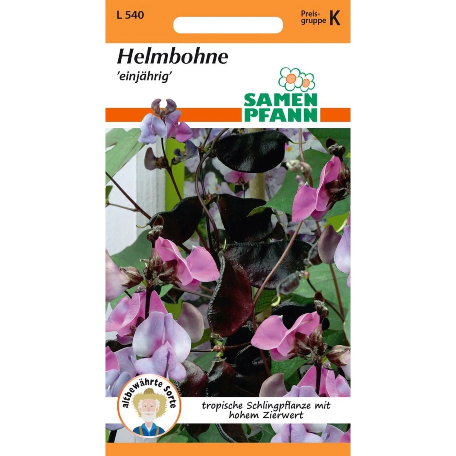 SAMEN PFANN Helmbohne Dolichos Lablab