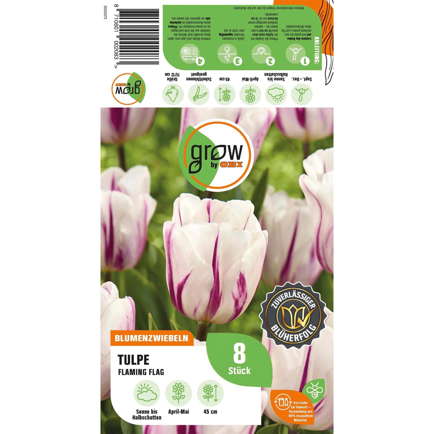 Verpackung GROW by OBI Tulpe Flaming Flag, weiß-purpur, 8 Stück. Blumenzwiebeln für Beet und Vase.