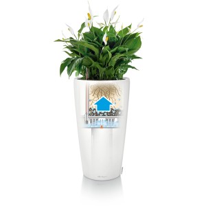 Weißes Lechuza Rondo Premium Pflanzgefäß (Ø 32 cm) mit Bewässerungssystem und Pflanze.