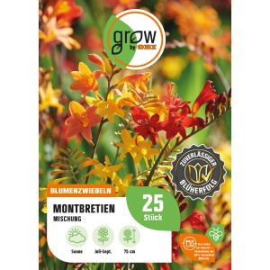 GROW by OBI Montbretien-Mischung Crocosmiiflora, Blumenzwiebeln mit roten, gelben und orangen Blüten.