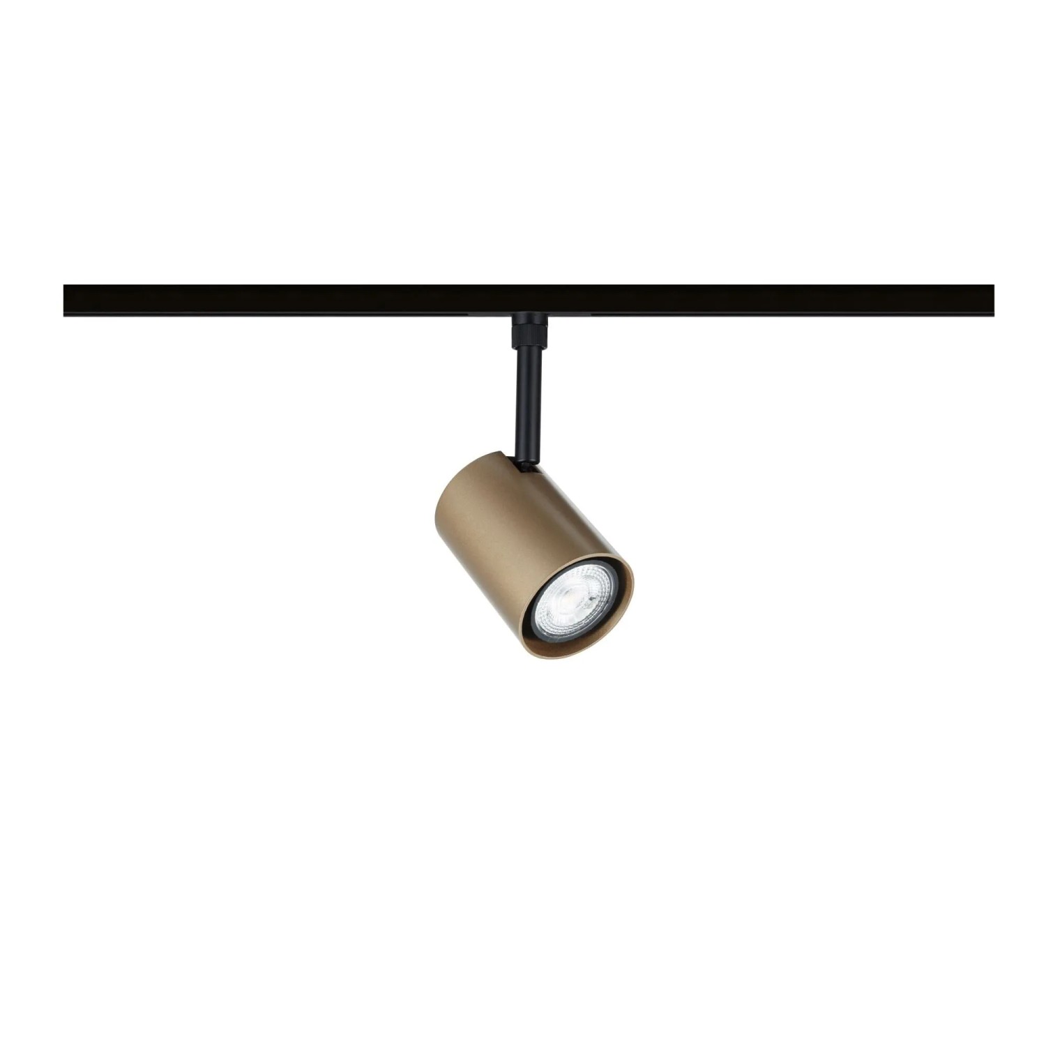 Paulmann URail Schienenspot Luxe: Gold matter LED-Spot auf schwarzer Schiene. Modernes LED-Schienensystem.