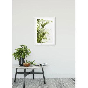 Komar Wandbild Reed Leaves (50x70 cm) mit detailreicher Darstellung von Schilf im weißen Rahmen.