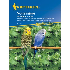 Kiepenkerl Vogelmiere: Samen für frisches Vogelfutter, mit zwei bunten Wellensittichen.