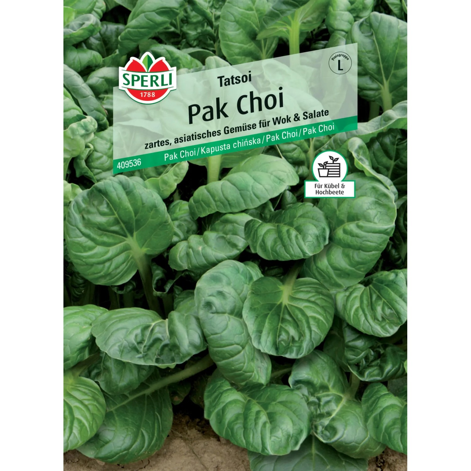Pak Choi Pflanzen Kaufen