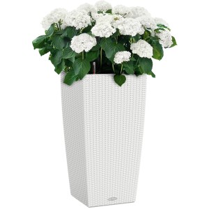 Weißes Lechuza Cubico Cottage Pflanzgefäß 40x40x75 cm mit Pflanze.