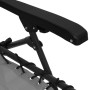 Detailaufnahme: Grauer vidaXL Liegestuhl, klappbar, Textilene, Stahlgestell, Armlehne.