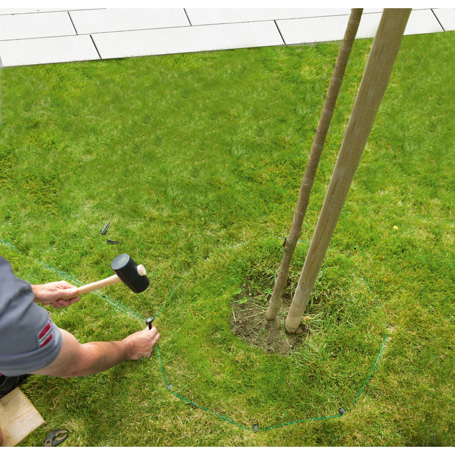 Bosch Fixierstifte im Einsatz: Begrenzungsdraht für Indego Mähroboter wird mit Hammer und Haken im Rasen fixiert.