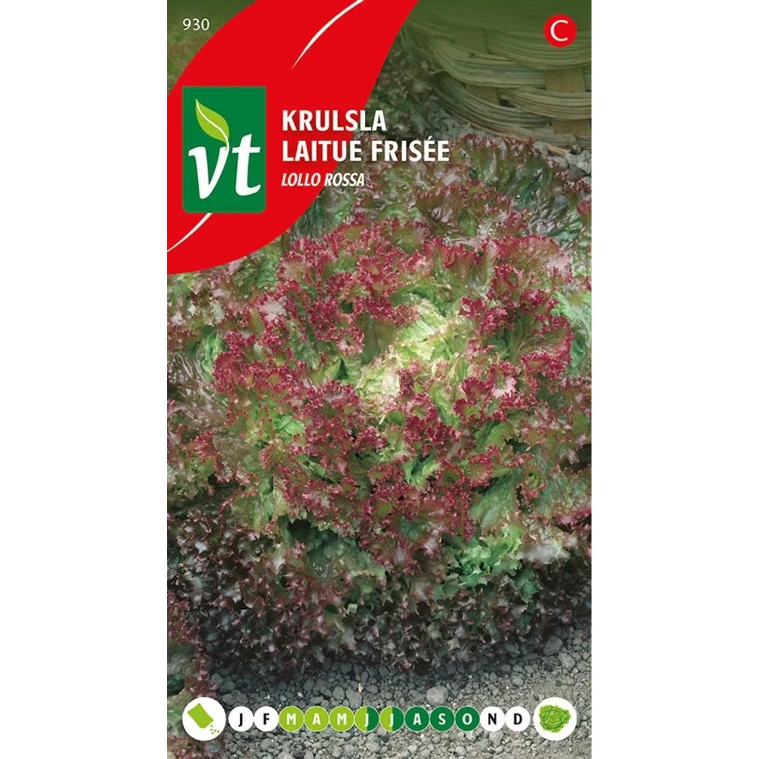 Kopfsalat Curly Lollo Rossa SamenCa. 2 grReich an Antioxidantien
