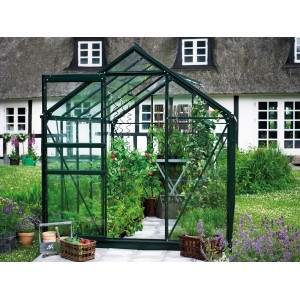 Halls Gewächshaus Popular 66, grüne Aluminiumkonstruktion mit Glas, Pflanzen im Inneren.