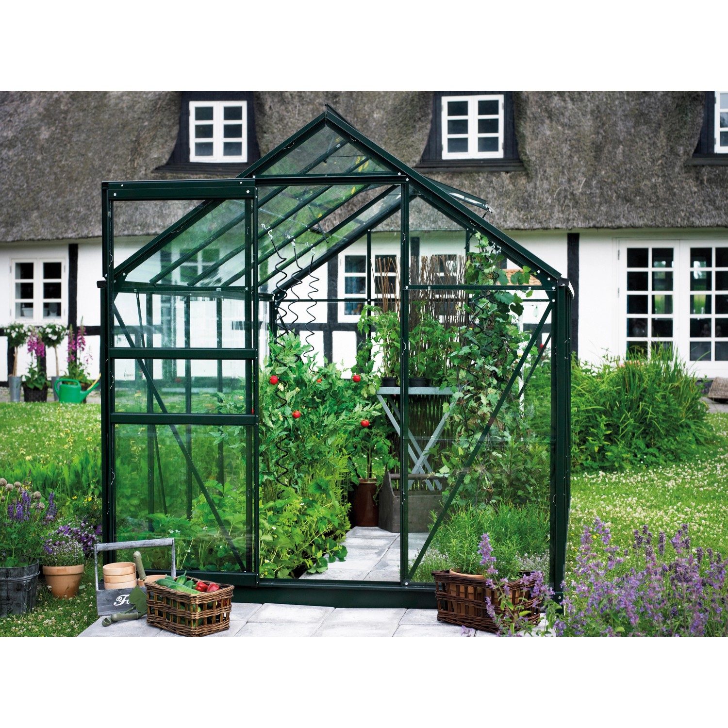 Halls Gewächshaus Popular 66 Blankglas Grün 3,8 m² kaufen bei OBI