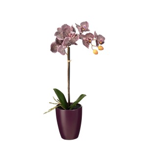 Dunkellila Kunstpflanze Phalaenopsis im Topf, 47cm hoch. Dekorative Orchidee für Innenräume.