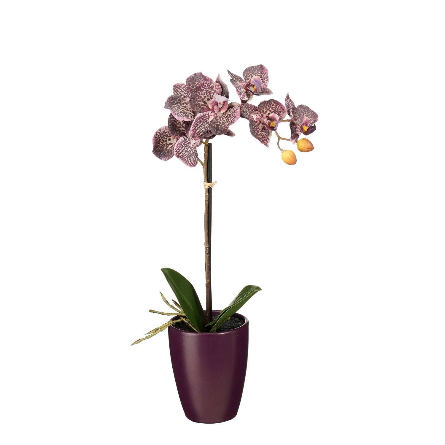 Knstliche Orchidee kaufen bei OBI