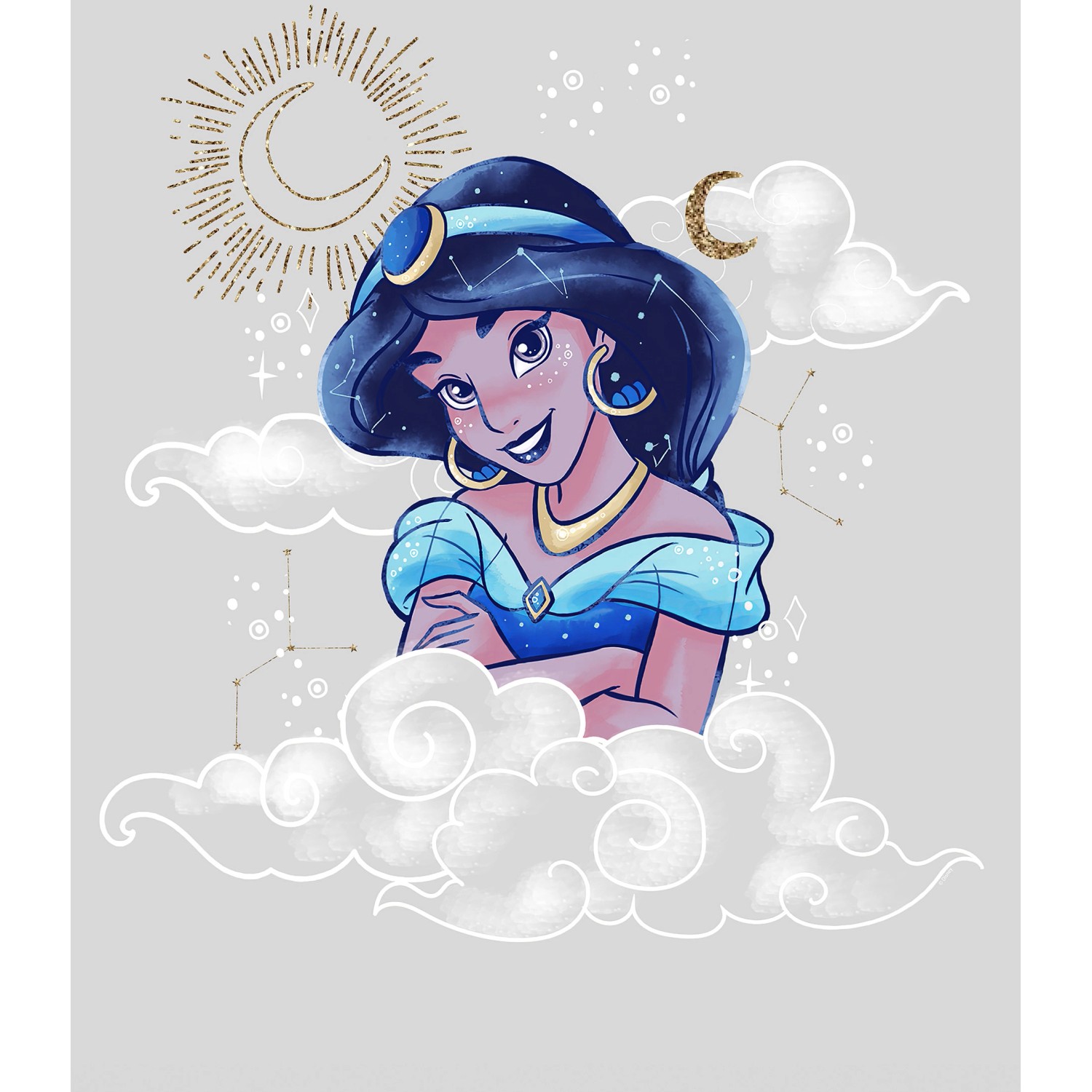 Disney Poster Jasmin Alladin Grau und Blau 40 x 50 cm 611705 günstig online kaufen