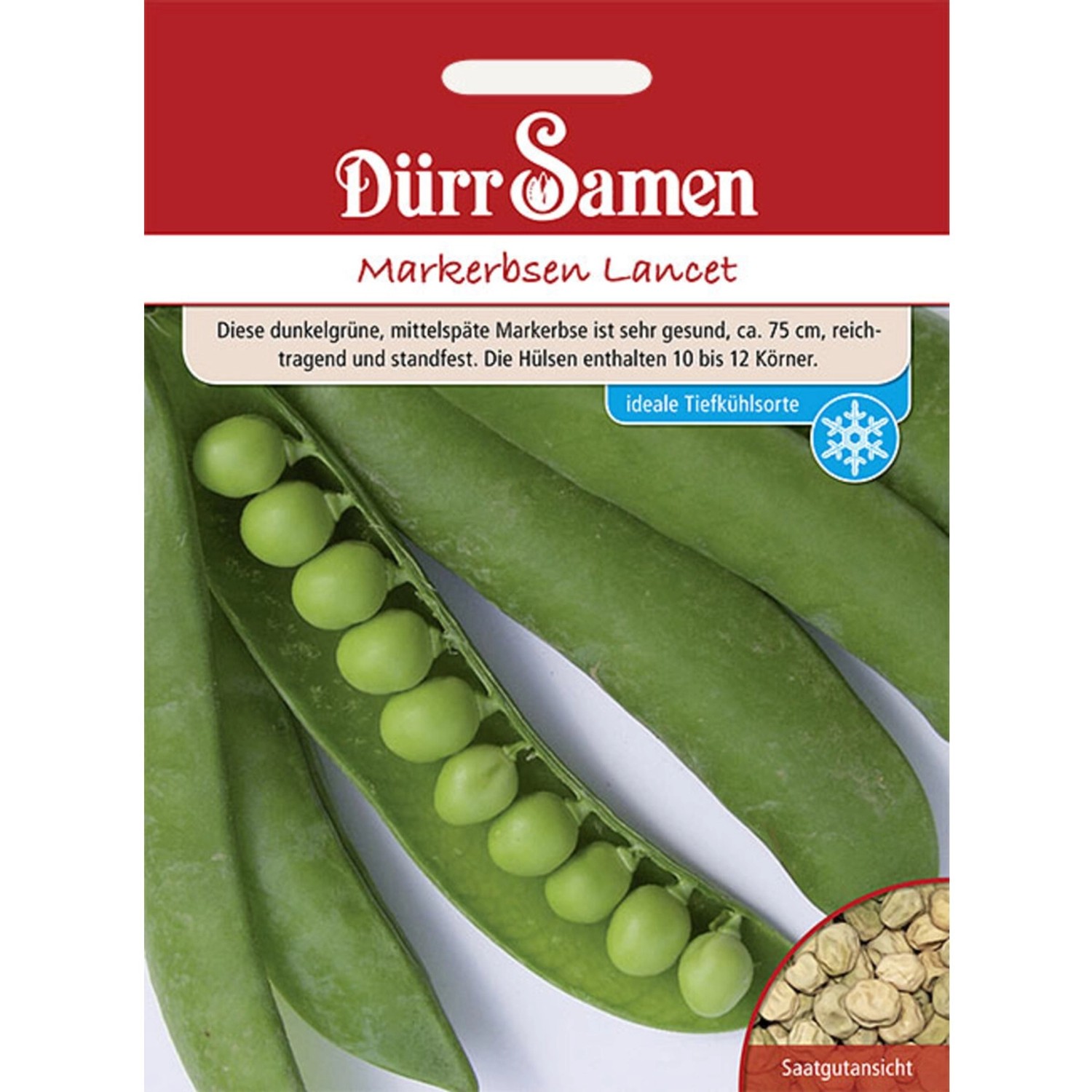 Dürr Samen Markerbsen Lancet Saatgut günstig online kaufen
