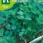 Bio-Saatgut Petersilie 'Hilmar' mit großen, glatten Blättern auf der Verpackung.