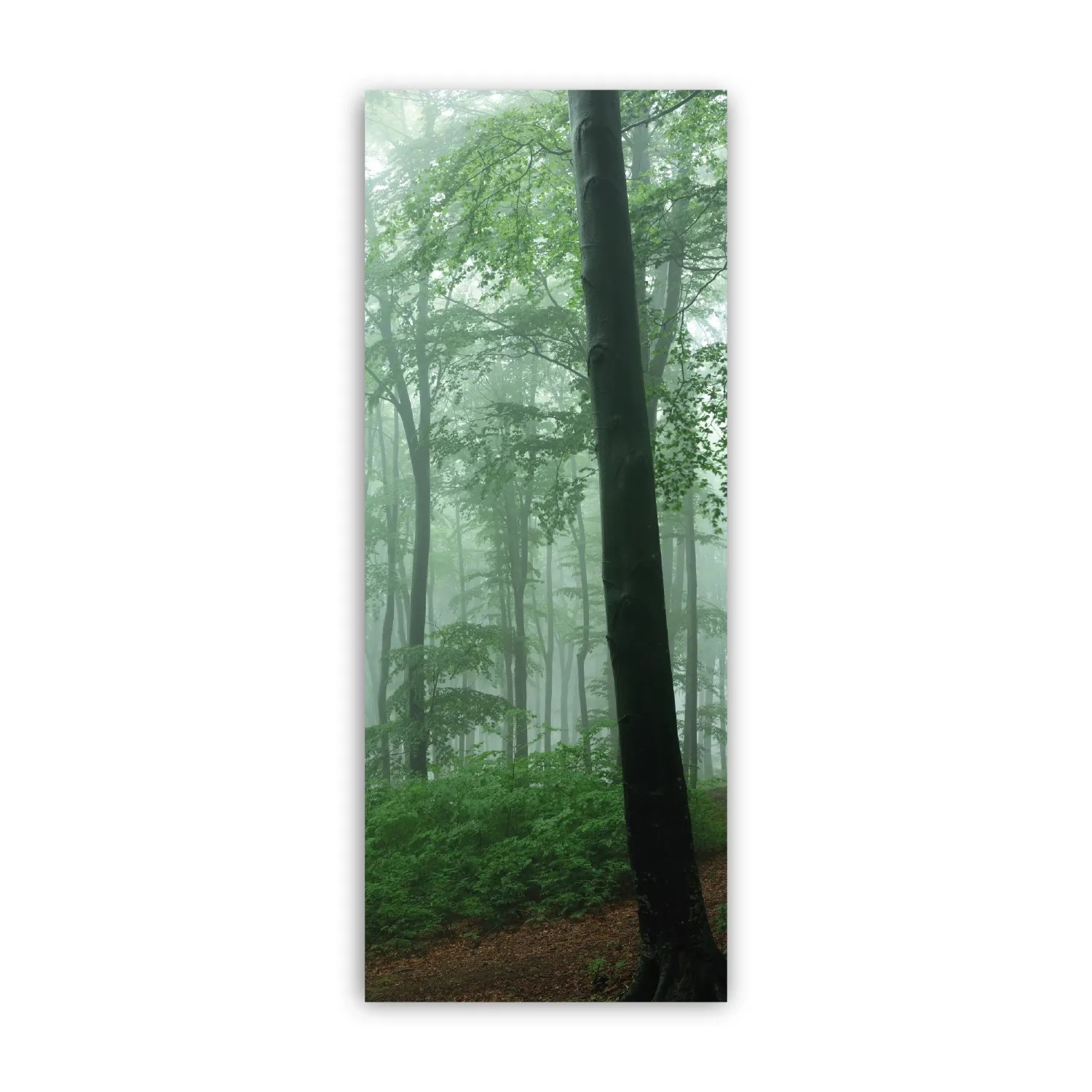 Walllux Duschrückwand Nebel im Wald Alu-Verbund 3 mm 100 x 255 cm