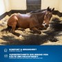Braunes Pferd liegt entspannt auf der KARAT Stallmatte Pontiac (122x182 cm) im Stall.