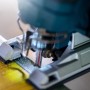 Bosch Expert T367 XHM Stichsägeblatt im Einsatz beim Sägen von Holz.