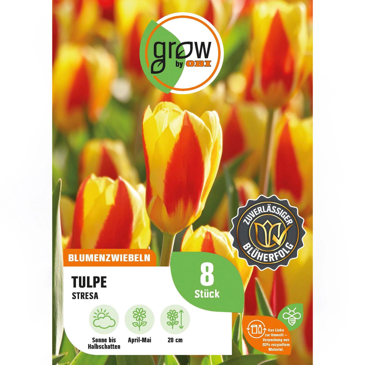 GROW by OBI Tulpe Stresa Rot-Gelb 8 Stück Tulipa kaufmanniana Stresa günstig online kaufen