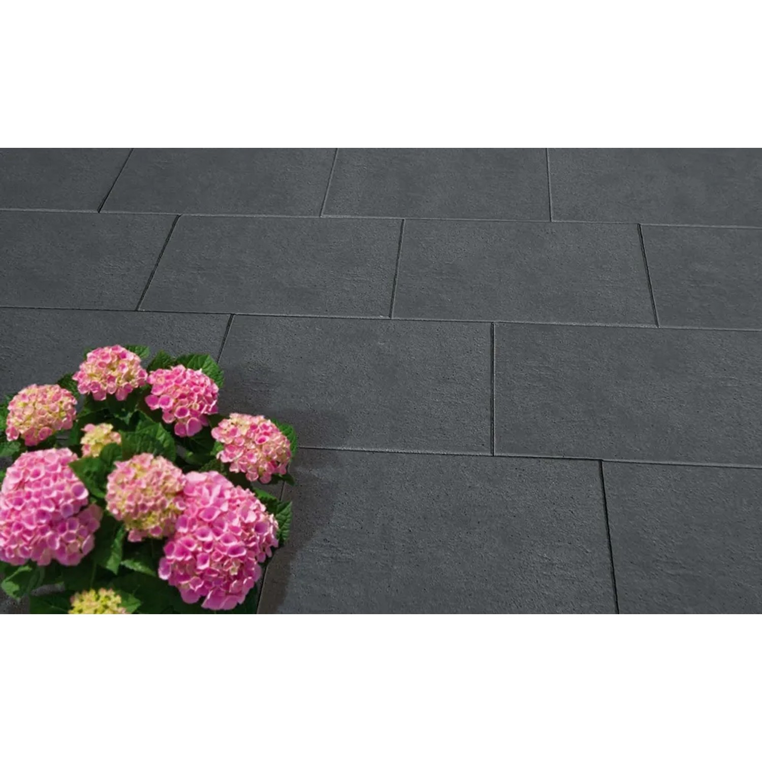 Diephaus Terrassenplatte Rima Basalt, 60x40 cm, mit Blumen. Gehwegplatte für Terrasse und Garten.