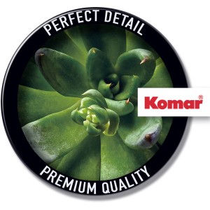 Detailaufnahme des Komar Wandbilds Succulent Single, ein grünes Sukkulenten-Motiv.