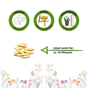 Freilandsalatgurken Chinese Slangen Samen: Bild zeigt Samen, Aussaat Mai-Juni, Ernte Juli-Sept., Fruchtgröße 30-40 cm, Inhalt für 10 Pflanzen.