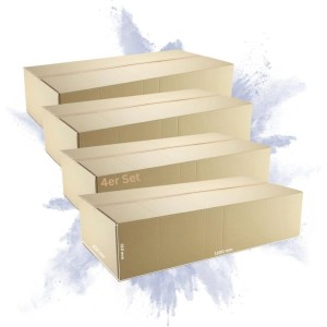 Offener, brauner 2-welliger PROREGAL Versandkarton (1200x600x310 mm) für Umzug oder Versand.