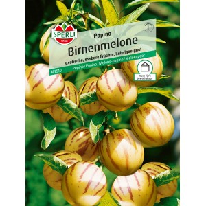 Sperli Birnenmelone Pepino: Gemüsesamen mit gelb-gestreiften, birnenförmigen Früchten.