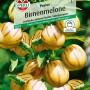 Sperli Birnenmelone Pepino: Gemüsesamen mit gelb-gestreiften, birnenförmigen Früchten.