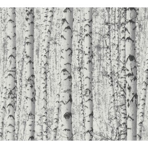A.S. Création Vliestapete mit 3D Waldmotiv in Weiß. Dekorative Tapete mit Birkenstämmen.