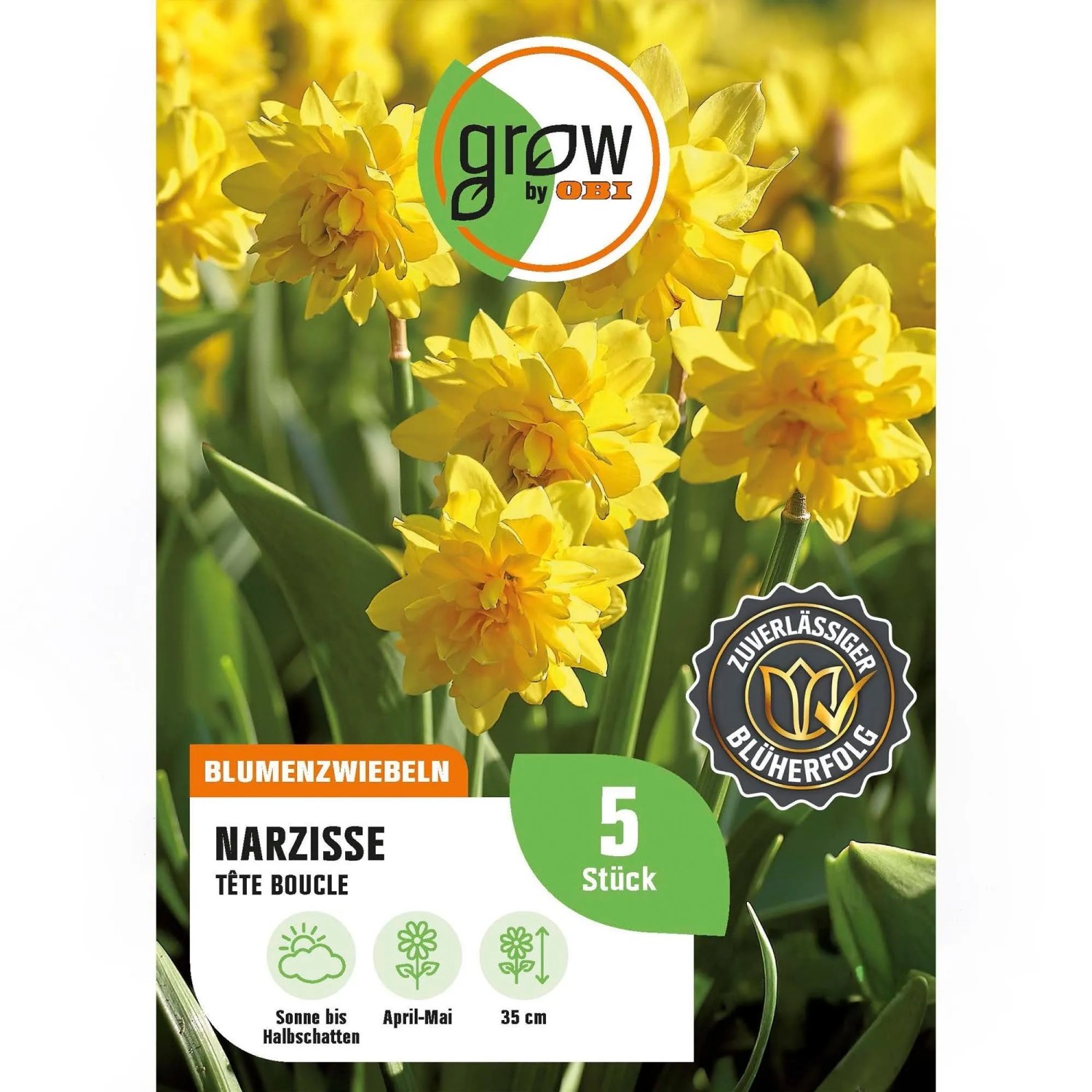 GROW by OBI Narcissus TEte bouclé Gelb 4 Stück Narcissus double TEte bouclé