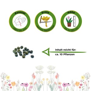 Okra Clemson Spineless Samen: Aussaat, Erntezeit und Pflanzenhöhe. Inhalt reicht für ca. 10 Pflanzen.