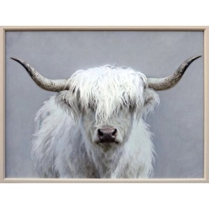 Leinwandbild Fluffy Longhorn: Weißes, zotteliges Highland Rind mit langen Hörnern vor grauem Hintergrund, gerahmt. Dekoartikel.