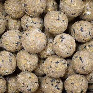 Klasebo MeisenknöDel Premium Mit Insekten 100 X Ca90 Gramm Ohne Netz