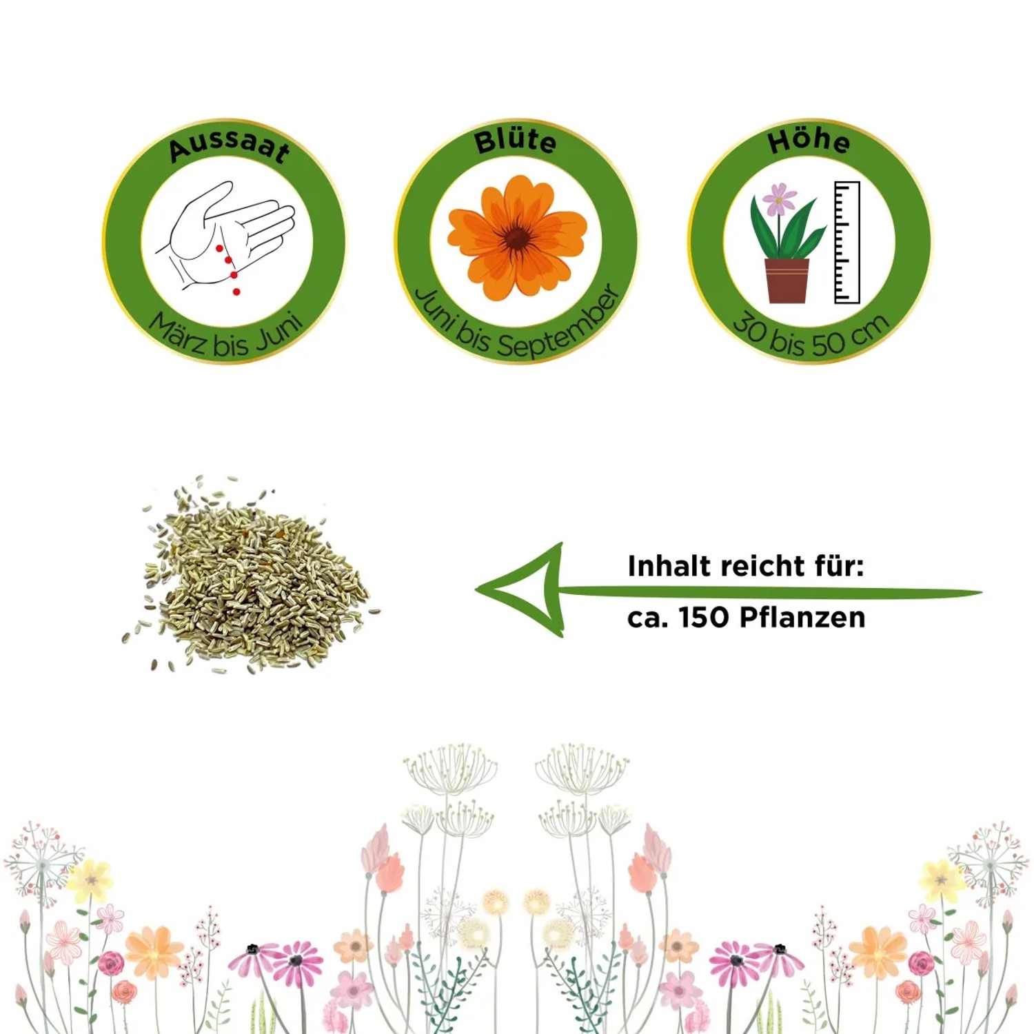 Kamille Samen: Aussaat, Blütezeit und Höhe der Pflanze. Inhalt reicht für ca. 150 Pflanzen.