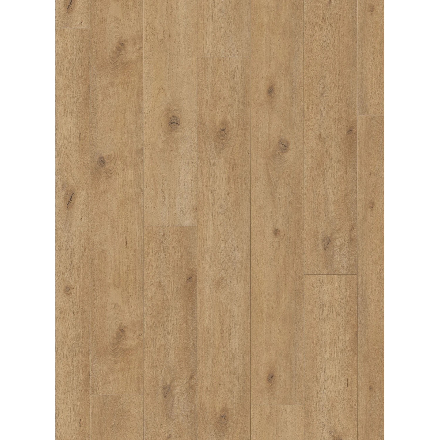 Parador Laminatbodenmuster Trendtime 6 Eiche Everglade Natur