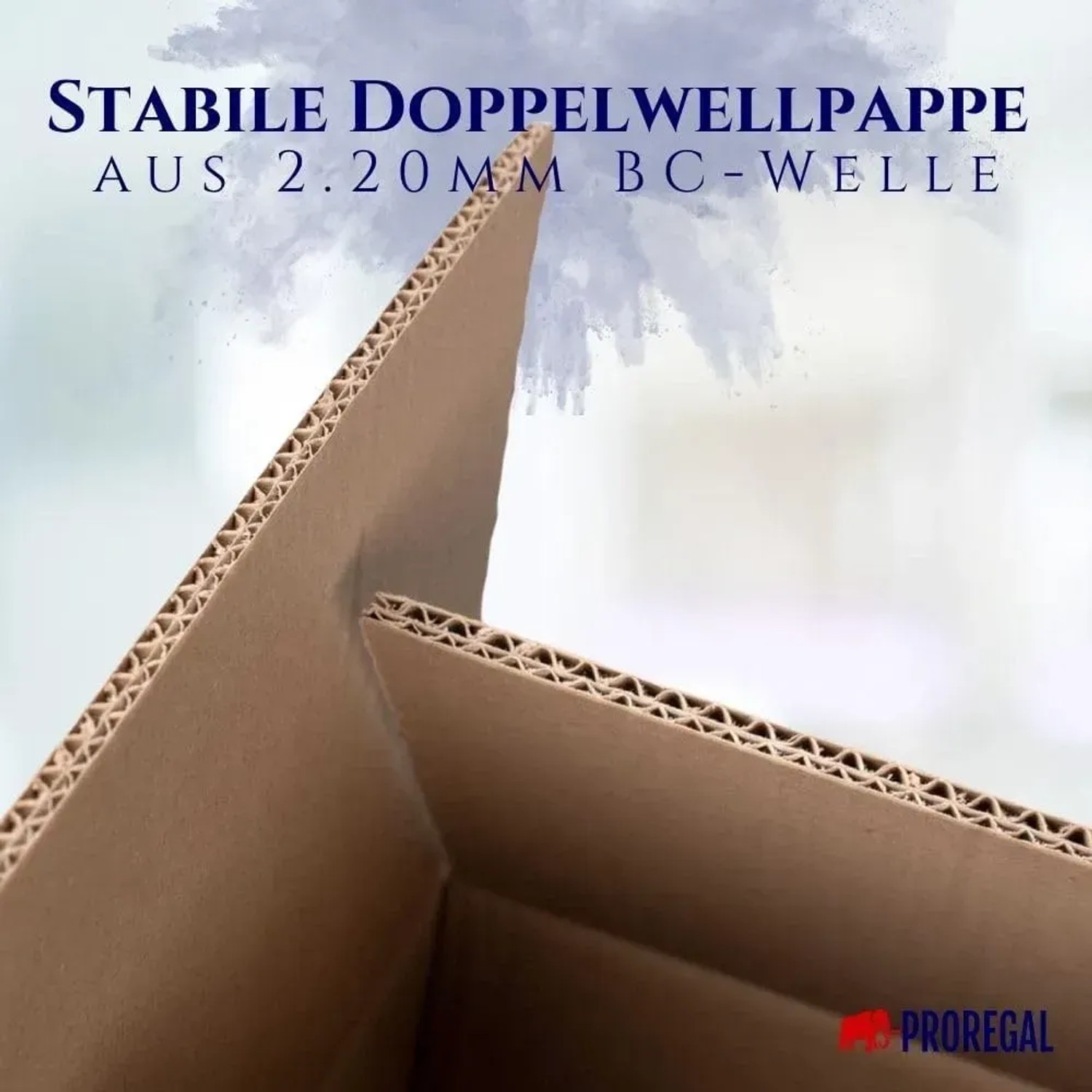 Detailansicht: PROREGAL 2-welliger Versandkarton aus brauner Wellpappe, ideal für Umzug und Versand.