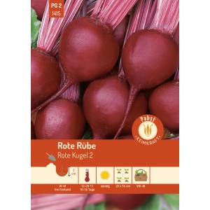 Pabst Keimkraft Rote Rübe 'Rote Kugel 2' Saatgut, runde, rote Rüben mit grünen Blättern.