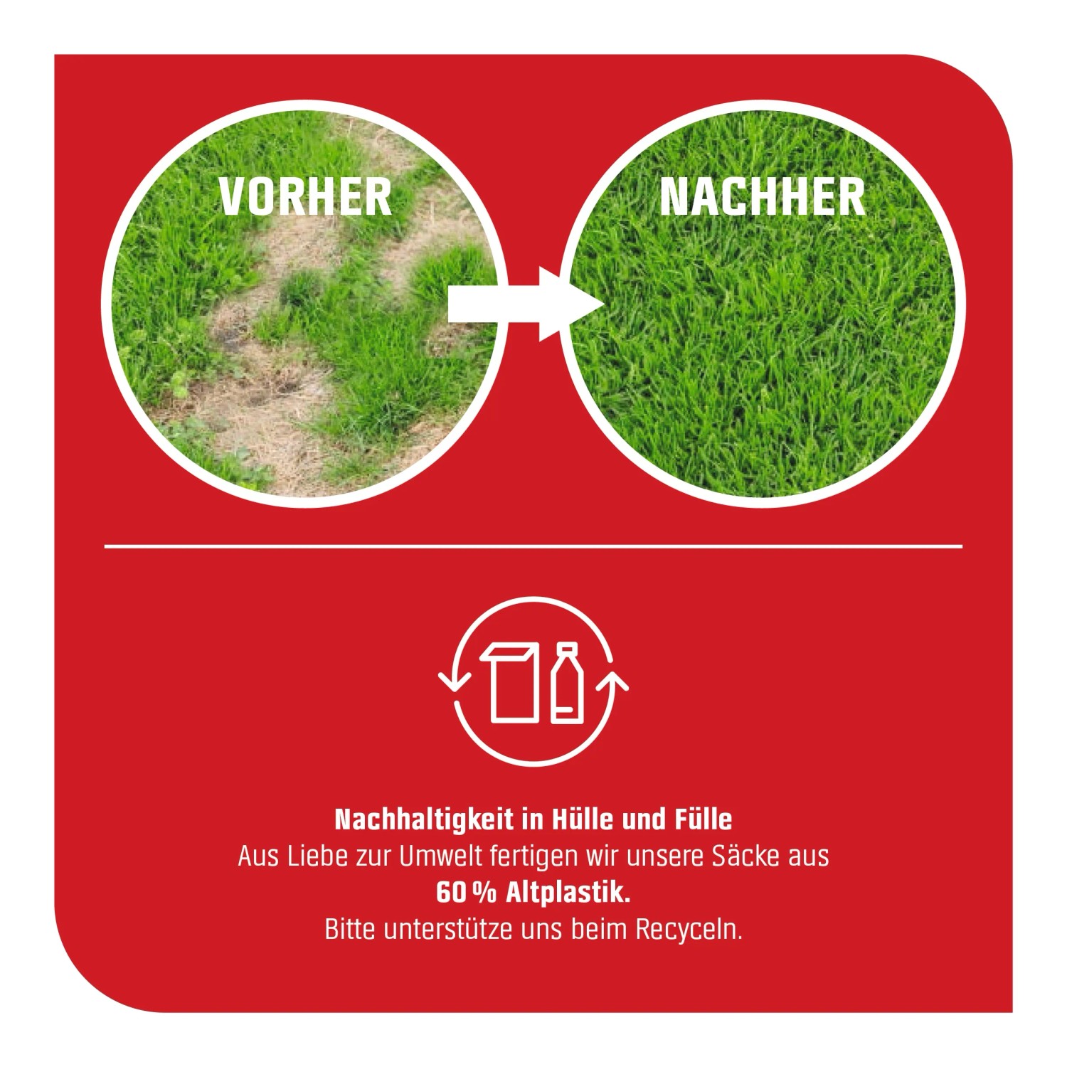 Vorher/Nachher: Rasen mit OBI 2 in 1 Vertikutier- und Nachsaatmix. Dichter, grüner Rasen nach Behandlung.
