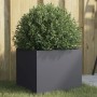 Anthrazitfarbener Stahl-Pflanzkübel mit grüner Pflanze auf Rasen vor Holzzaun. Ideal für Garten und Balkon.