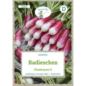 Samenpackung Grüne Fee Radieschen Flamboyant 3 mit zweifarbigen Radieschen.