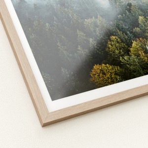 Pro Art Bild „Foggy Forest Atmosphere“ (50x50 cm) mit hellem Holzrahmen. Waldmotiv im Nebel.