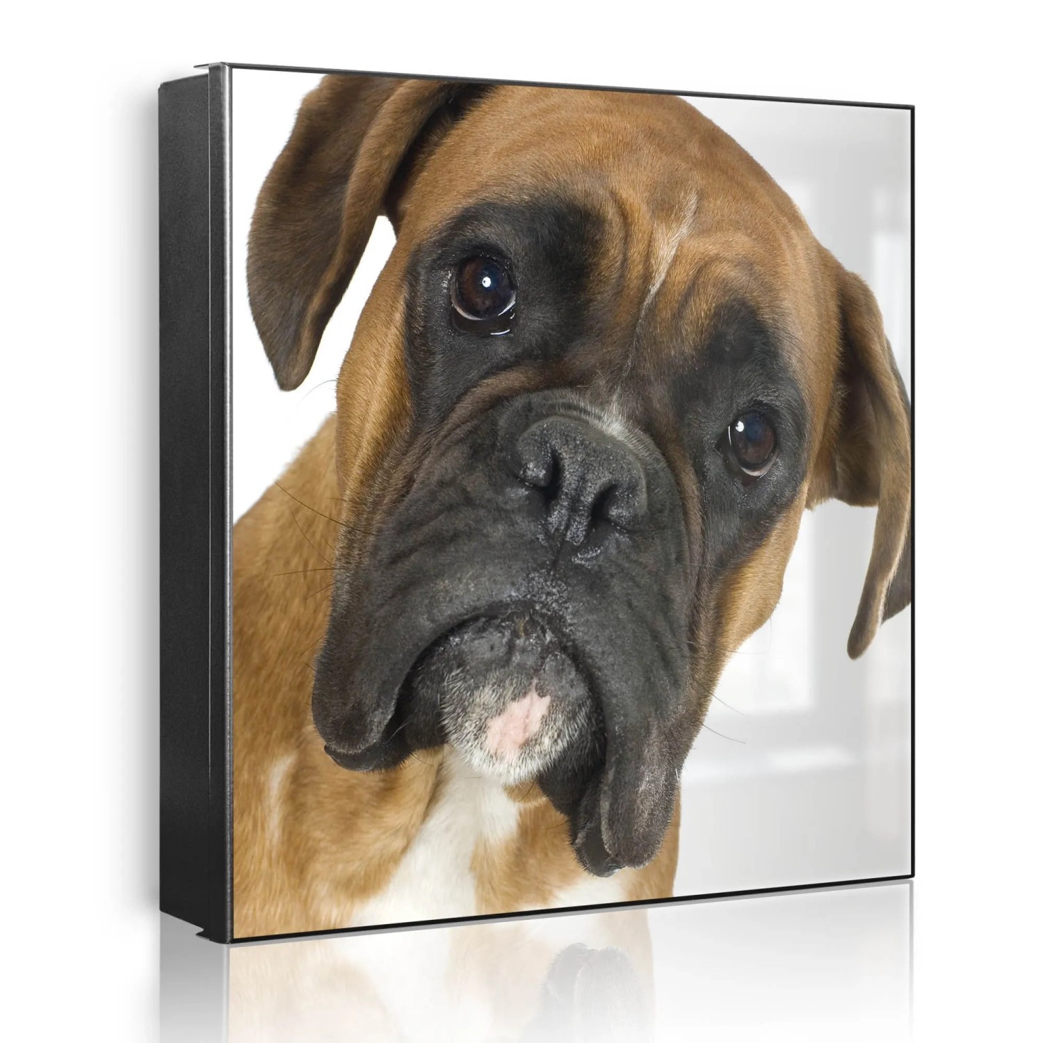 Banjado Großer Schlüsselkasten Metall 30x30cm Schwarz Scharnier Rechts 32 Haken Beschreibbar Magnetisch Motiv Boxer